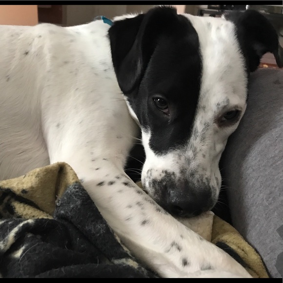 lexie_0192